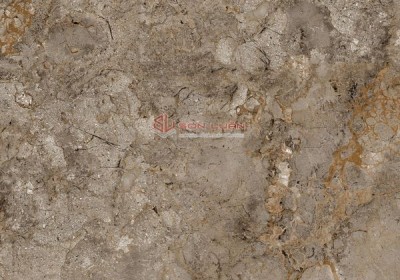 Gạch Ốp Lát Apodio 88284049